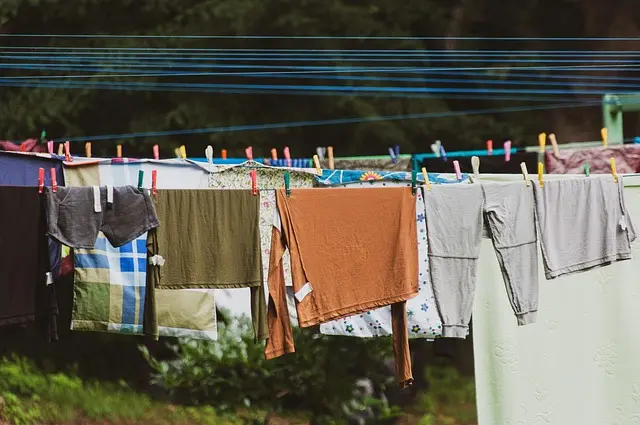 Mejor Ropa Deportiva Para Entrenamiento: Guía Completa